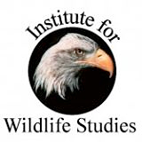 Institute for Wildlife Studies logo