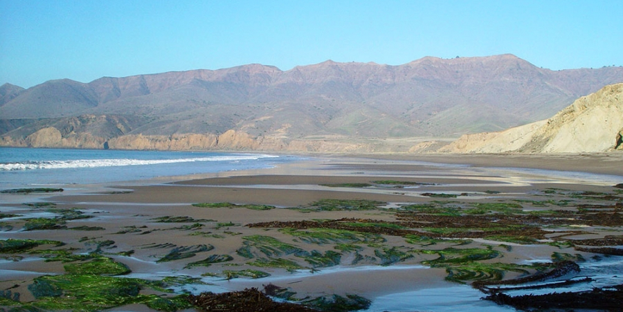 Christy Beach low tide