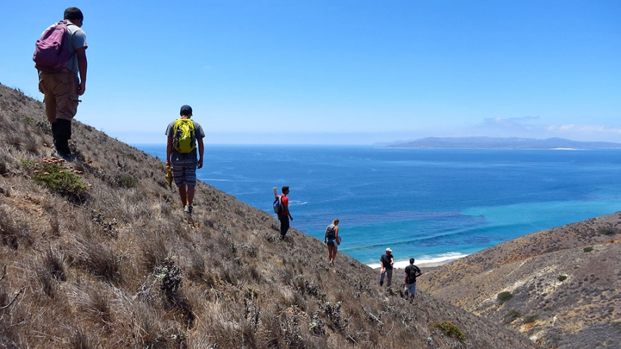 people on mountain overlooking ocean