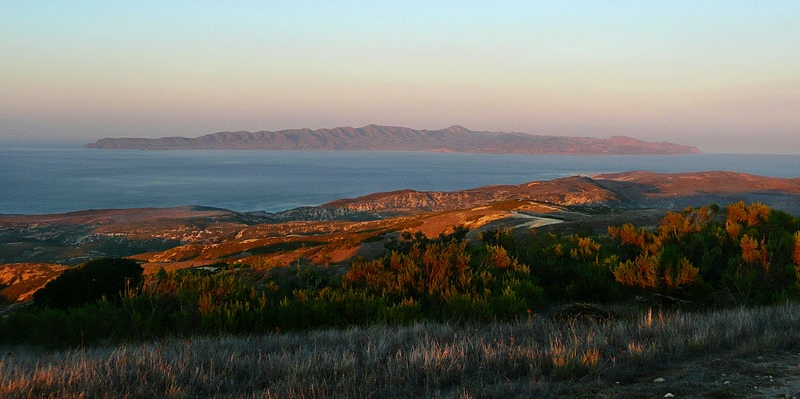 Santa Cruz Island Reserve